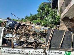 Best Residential Junk Removal  in Elmwood Park, IL